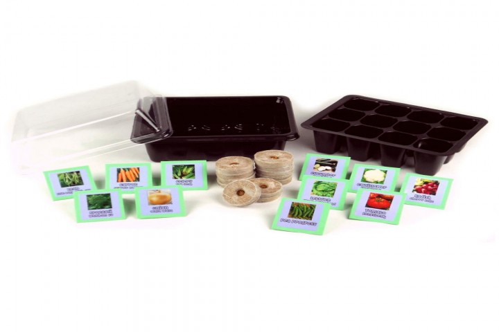 box of vegetable growing kit